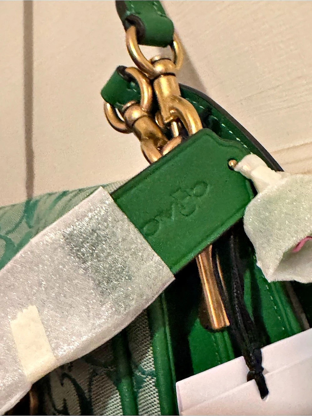 Coach x Brain Dead Green Tabby  NWT - Picture 4 of 12